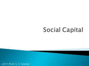Social Capital 2010